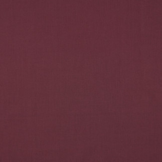 Coton bio - candy uni aubergine (081)