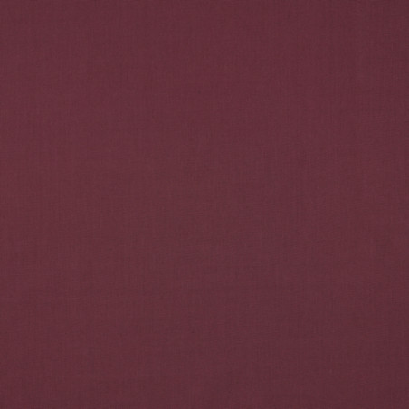 Organic cotton - candy uni aubergine (081)