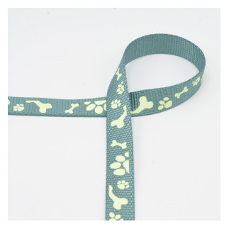 Sangle - Pattes de 20 mm menthe - phosphorescente