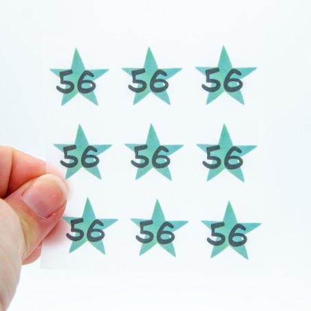 Iron-on transfers - size labels star mint