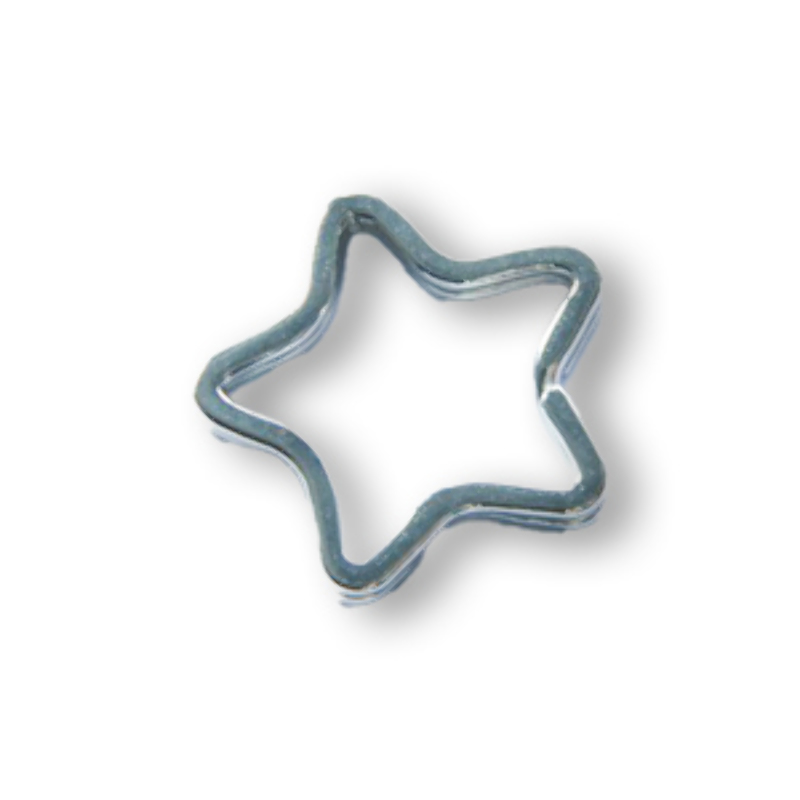 Keyring star silver
