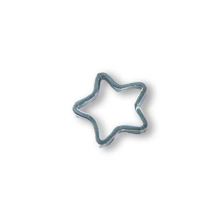 Keyring star silver