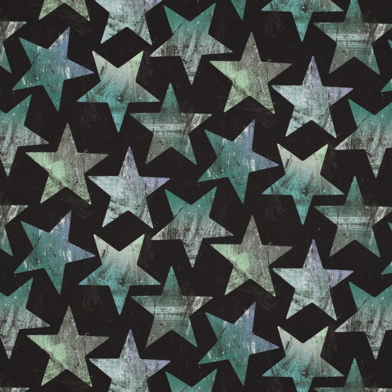 Softshell - Vintage Stars mint / black