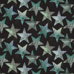 Softshell - Vintage Stars mint / black