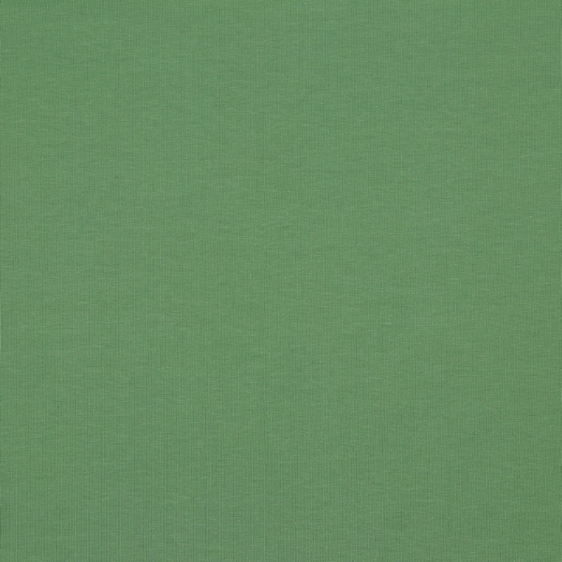 Biojersey mint (v63) Biojersey mint (v63)