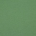 Biojersey mint (v63) Biojersey mint (v63)