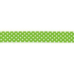 Bias tape dots light green